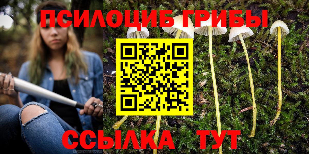 Галлюциногенные грибы Psilocybine cubensis Аксай