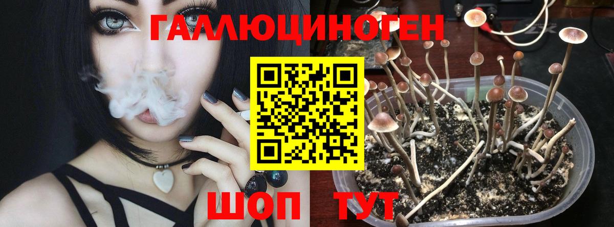 Аксай  Галлюциногенные грибы GOLDEN TEACHER  Псилоцибиновые грибы Psilocybe  где купить наркоту  Вход с VPN 